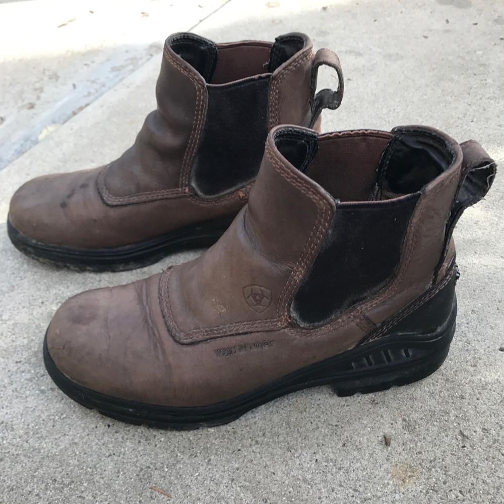 Ariat waterproof paddock boots